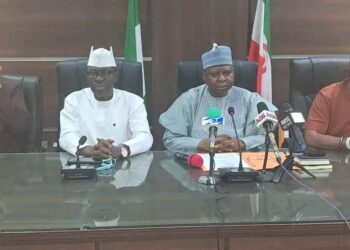 Makinde-Backed PDP Names Turaki Interim NWC Chairman