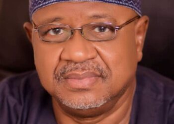 NDC Emergence Deepens Opposition Crisis, Boosts APC — Ardo