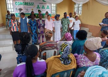 Youth Party Ready for 2027 in Ogun, Says New Chairman Okunowo