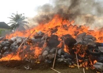 NDLEA destroys cannabis, cocaine, heroin worth N2.8bn in Edo 