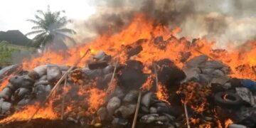 NDLEA destroys cannabis, cocaine, heroin worth N2.8bn in Edo