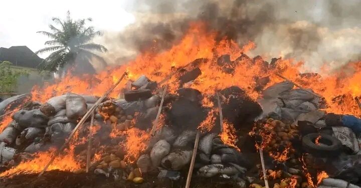 NDLEA destroys cannabis, cocaine, heroin worth N2.8bn in Edo