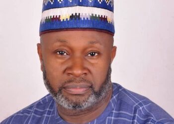Multiple Presidential Aspirants Prove Nigeria Remains Multiparty – IPAC Chairman 