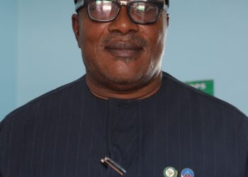 Insecurity: Nigeria Must Seek Alternative Arms Suppliers, Ex-DSS Director Tells FG
