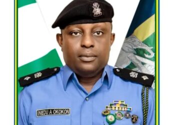 Police Get New Spokesman as IG Names Iniedu Force PRO