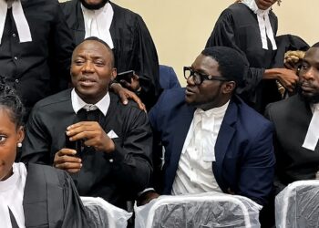 Alleged cybercrime: Court grants Omoyele Sowore ₦200m bail