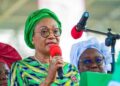 Selling Akara, Roasted Corn, Kuli Kuli Can Change Lives, Remi Tinubu Urges Nigerians