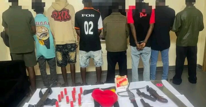 Oyo police bust alleged Eiye cult hideout, arrest 11 LAUTECH students