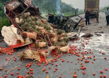 Two Die, Two Escape as Truck, Bus Collide on Ogun Expressway