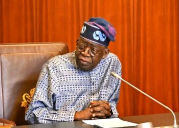Tinubu Appoints Fayose, Bindawa, Okoya-Thomas, 23 Others to Federal Agencies