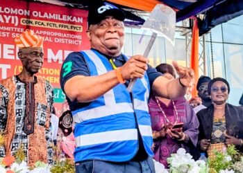 FG To Establish Ranches In Ogun, Oyo, Ondo, Four Other States – Senator Adeola