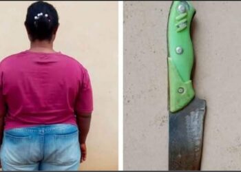 Police arrest woman over alleged knife attack on 12-year-old niece