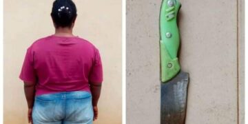 Police arrest woman over alleged knife attack on 12-year-old niece