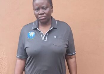 Former Access Bank Employee Docked for Alleged N294.5m Fraud