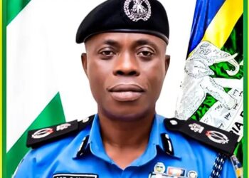 Ogun police kill two suspected kidnappers, recover AK-47 after prince’s rescue