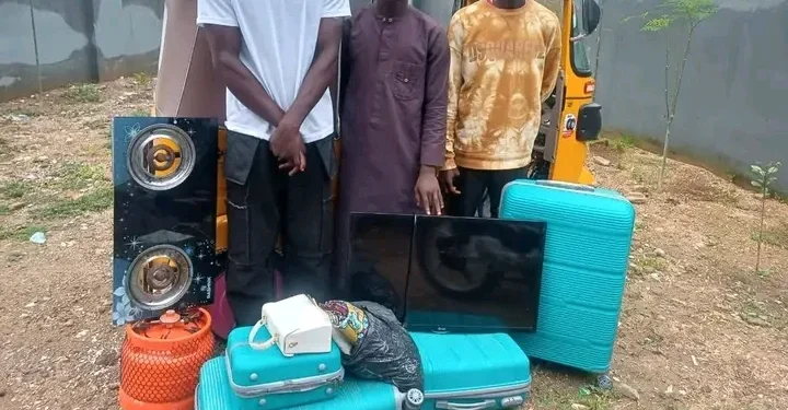 Five Nabbed as Police Recover Stolen Valuables, Suspected Cannabis in Bauchi