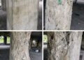 Sanwo-Olu Orders Arrest of Vandals Behind Festac-Alakija Bridge Damage