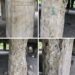 Sanwo-Olu Orders Arrest of Vandals Behind Festac-Alakija Bridge Damage