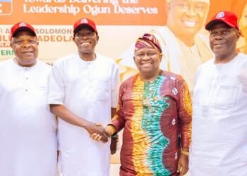 Ogun 2027: PDP structures collapse as leaders rally behind Adeola