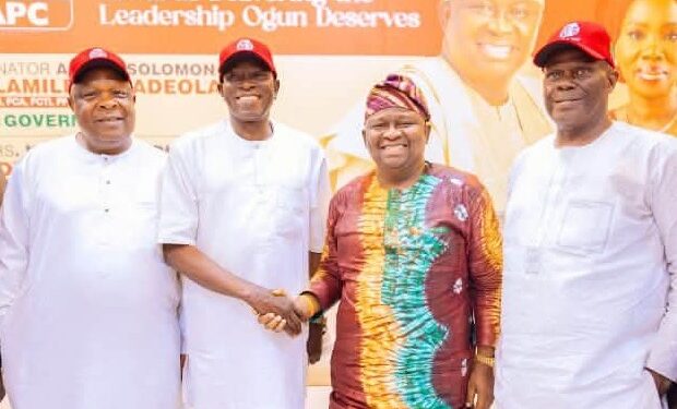 Ogun 2027: PDP structures collapse as leaders rally behind Adeola