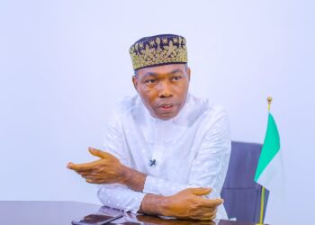2027: Tinubu Running Fake Government, Violating Constitution, Says Adebayo