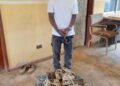 21-Year-Old Man Arrested for Cable Vandalism, Theft in Ogun