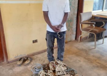 21-Year-Old Man Arrested for Cable Vandalism, Theft in Ogun