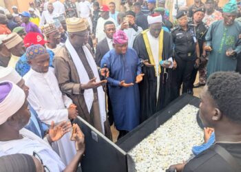 Death Was Cruel For Taking Ogogo Away – Senator Yayi