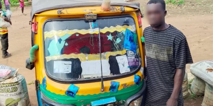 Two-Week Manhunt Ends as So-Safe Corps Arrests Suspected Tricycle Thief in Ogun