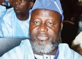 Let Local Councils Control Their Funds, Shittu Tells Governors