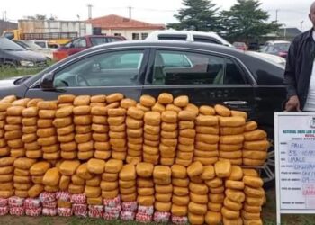 NDLEA Arrests Real Estate Agent, Others Over UK Colorado Shipments