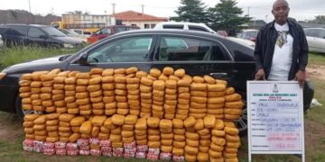 NDLEA Arrests Real Estate Agent, Others Over UK Colorado Shipments
