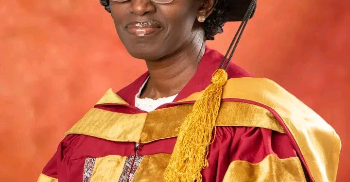 McPherson University Extends Shonibare’s Tenure as Acting Dean