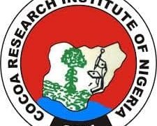 Scientists as Contract Supervisors: How Nigeria Swapped Its Cocoa Crown for Political Infrastructural Contracts!