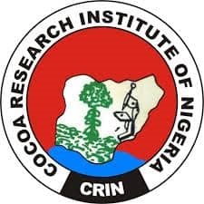 Scientists as Contract Supervisors: How Nigeria Swapped Its Cocoa Crown for Political Infrastructural Contracts!
